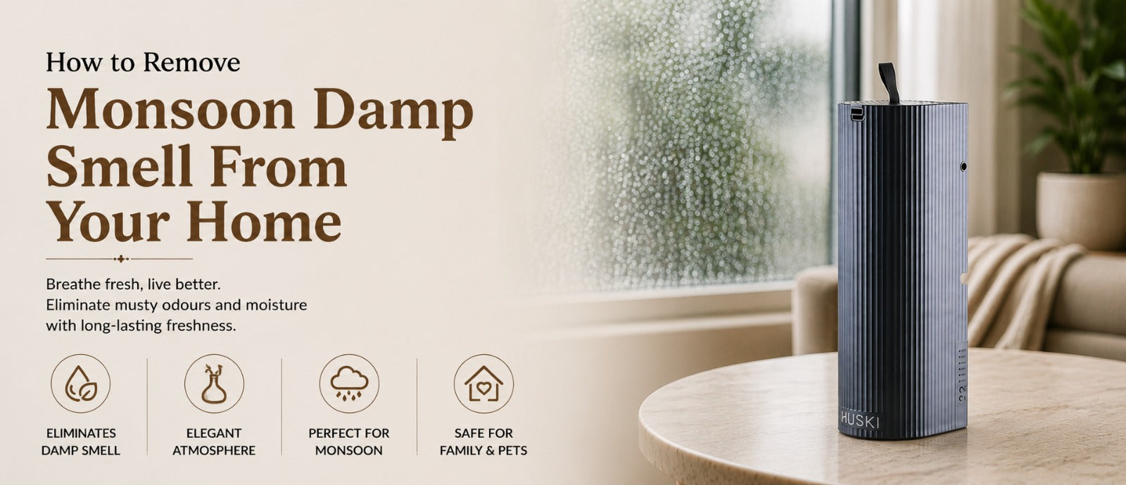 How to Remove Monsoon Damp Smell From Your Home