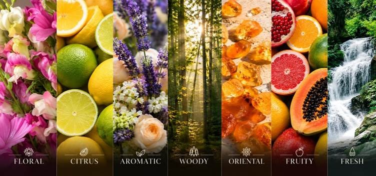 7 Fragrance Families Explained: How to Choose the Right Scent for Your Space